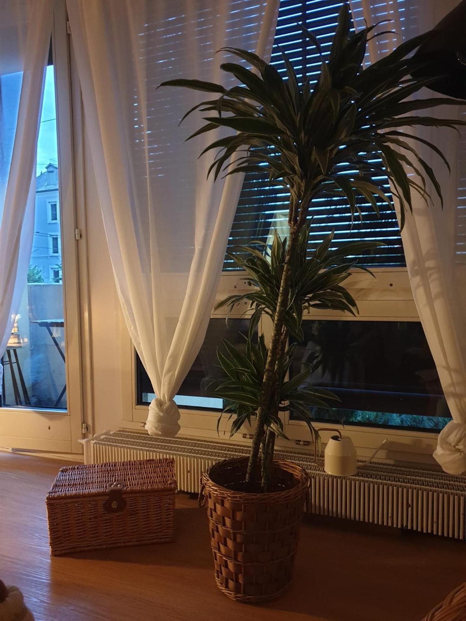El Destino Apartments Zurich Extérieur photo